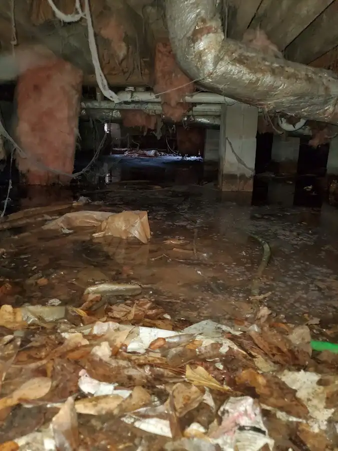 Crawl space flood assessment for Commercial Water Damage Restoration in Gautier