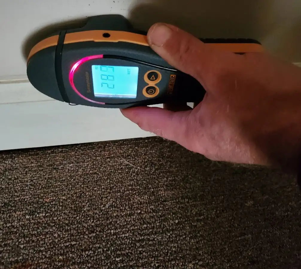 Moisture detection at baseboard during Sewage Cleanup & Sanitation in Gautier